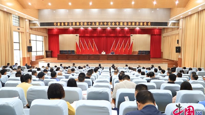 内选师资适合以下场景：
