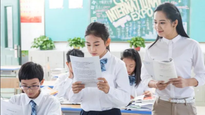 在选择网络课程互动方案时，报价是一个重要考量因素。以下是一些关键要点：